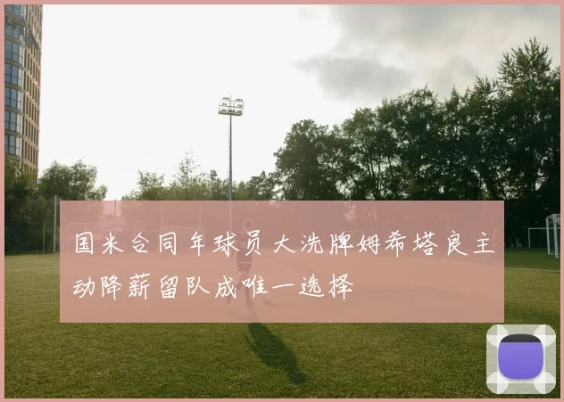 国米合同年球员大洗牌姆希塔良主动降薪留队成唯一选择