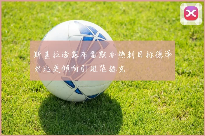 斯基拉透露布雷默非热刺目标德泽尔比更倾向引进范赫克